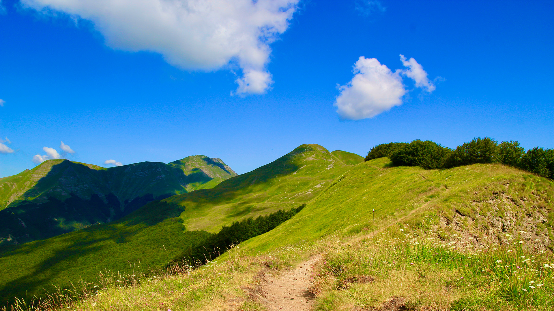 Poggio dei malandrini - Appennino Pistoiese